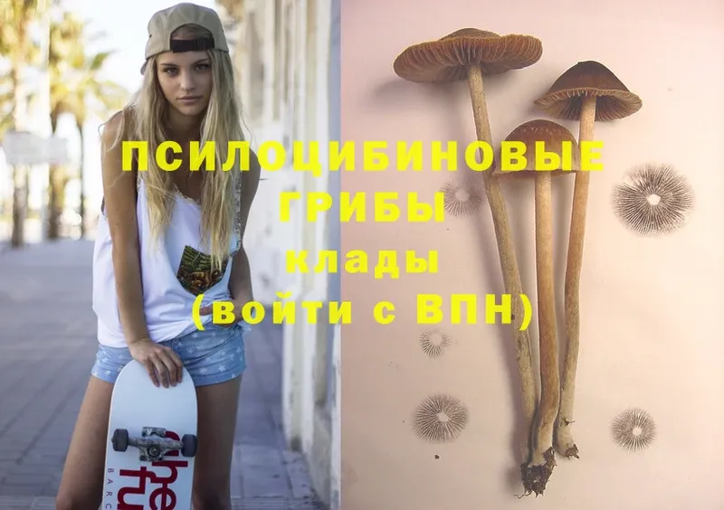 Псилоцибиновые грибы Magic Shrooms  наркота  Гуково 